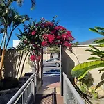 Palma Vila