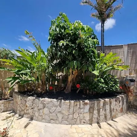 Palma Costa Adeje (Tenerife)