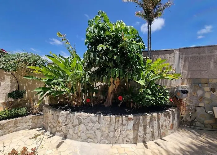 Palma Costa Adeje (Tenerife)